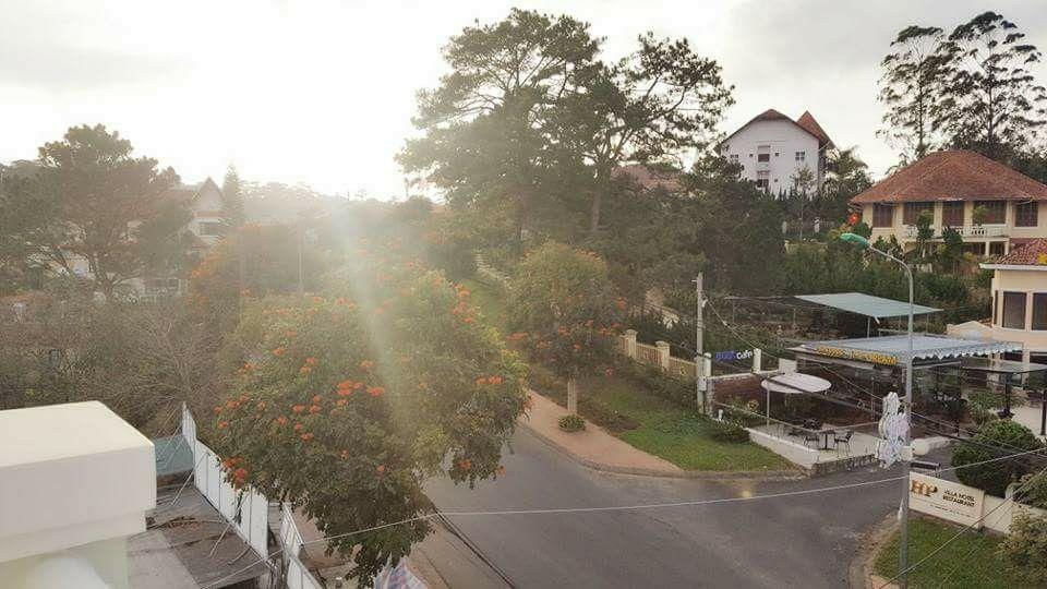 Nang Vang Hotel Dalat Eksteriør bilde